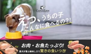 カナガンドッグフードの食いつきに関する口コミ・評判