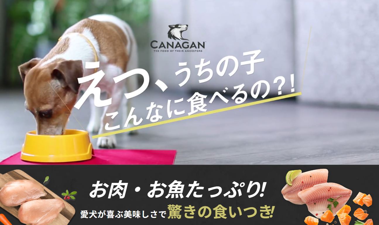 カナガン　ドッグフード　2kg×5袋　おまけ付き カナガン（ドッグフード）｜犬用品 | ペット用品、生き物 の